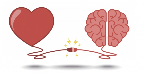 사랑의 감정은 뇌의 여러 구조물에 영향을 준다.
