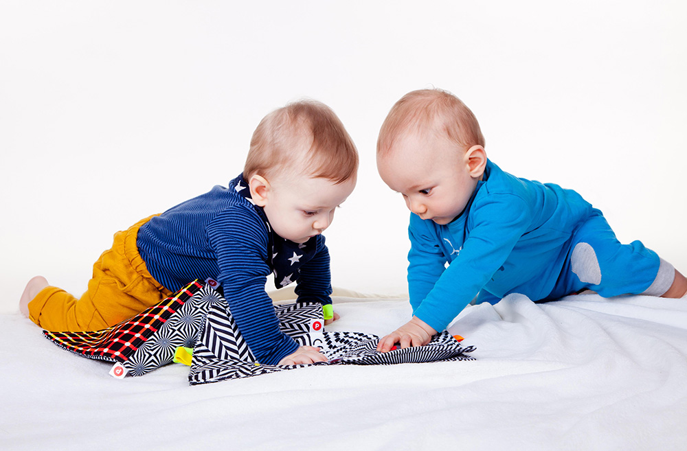 영아기의 뇌 발달