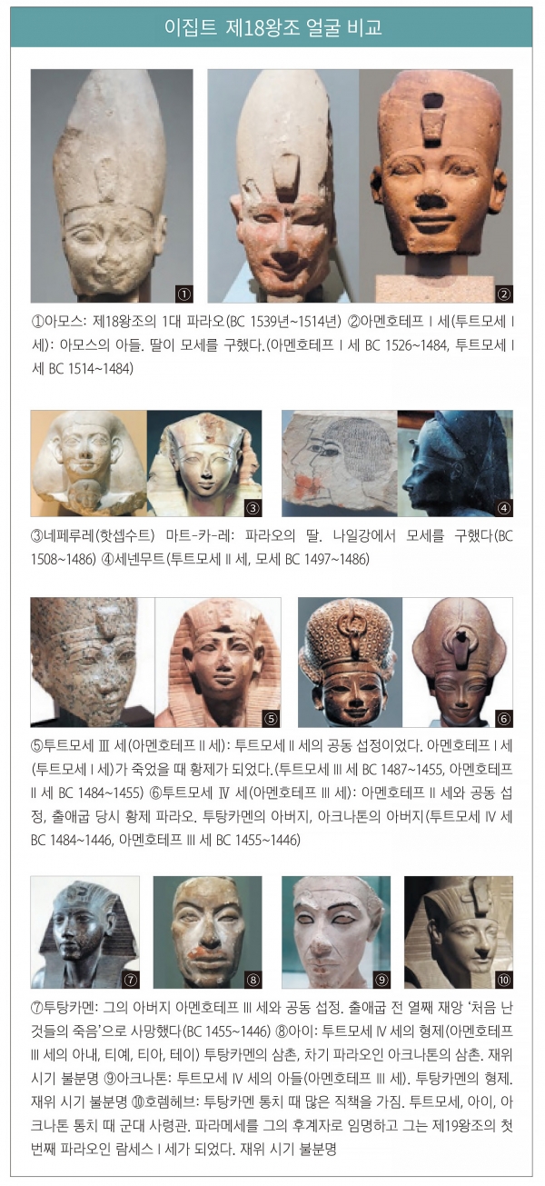 이집트 제18왕조 얼굴 비교