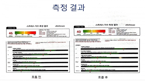 국제뇌치유상담학회(IBPS) 월례세미나