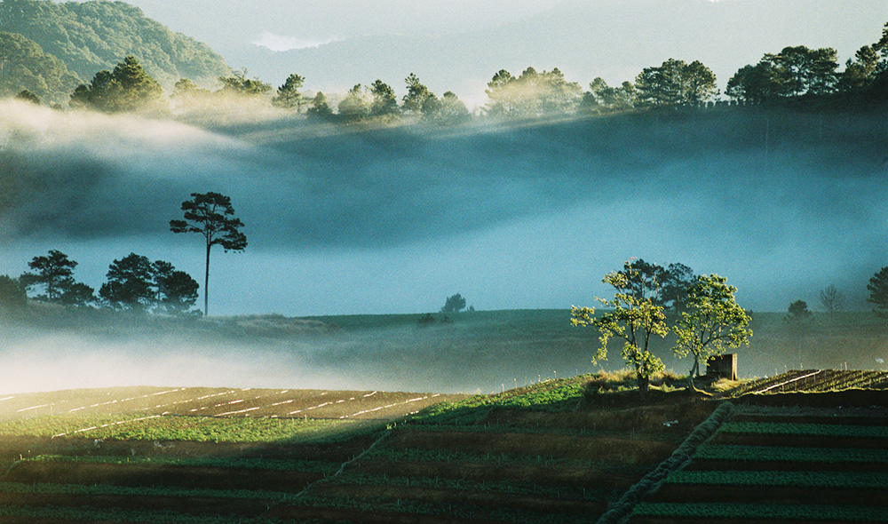 성경을 선교적 시각으로 보기