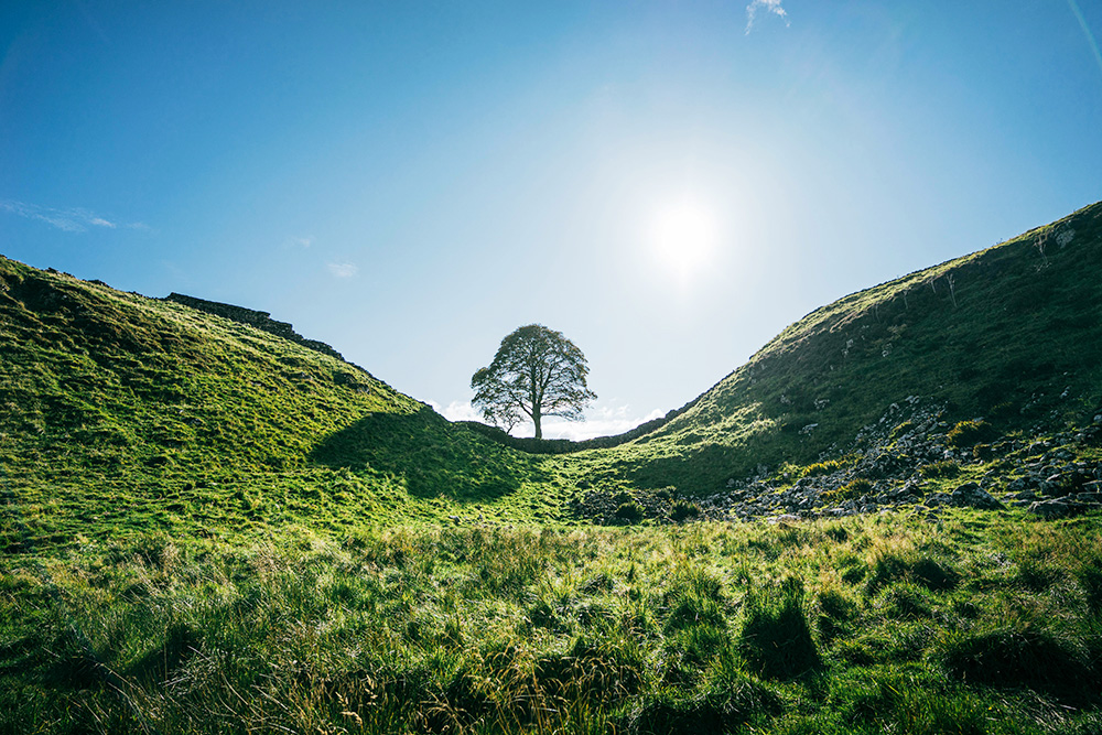 최원호 목사의 영혼의 양식