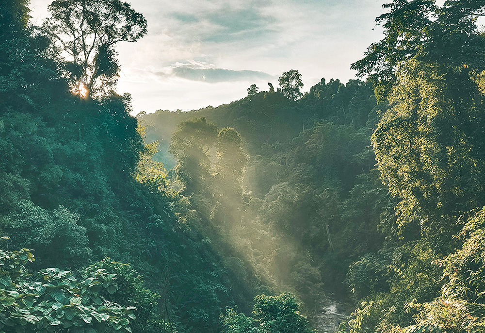 최원호 목사의 영혼의 양식