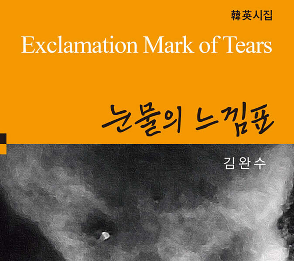 김완수 작가 시집 ‘눈물의 느낌표’