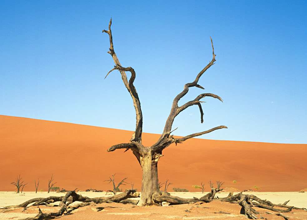 오픈도어선교회